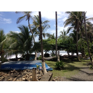 Photo Costa Rica Cahuita 2015-03 141