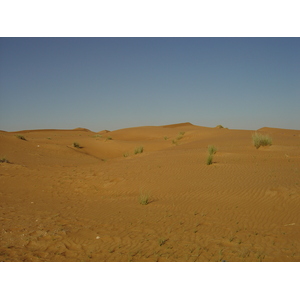 Photo Émirats arabes unis Route de Dubai à Al Ain 2005-03 11