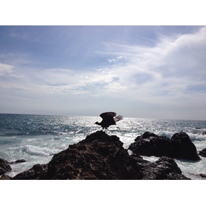 Photo Costa Rica Montezuma 2015-03 583