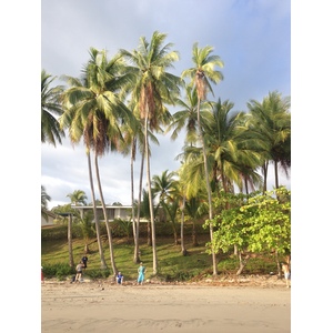 Photo Costa Rica Parc Manuel Antonio 2015-03 161
