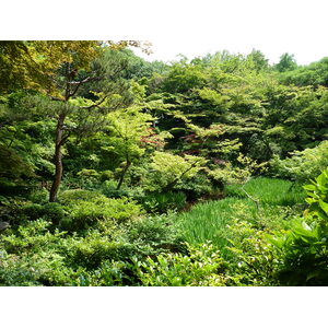 Photo Japon 2010-06 30