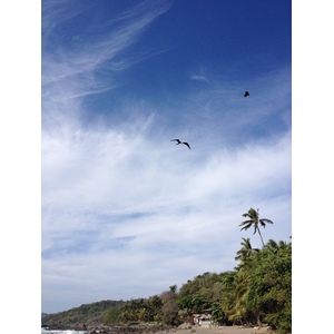 Photo Costa Rica Montezuma 2015-03 534