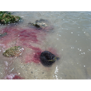Photo France Le Gois 2006-08 25