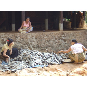 Photo Birmanie (Myanmar) Nord de Maungmagan 2005-01 43