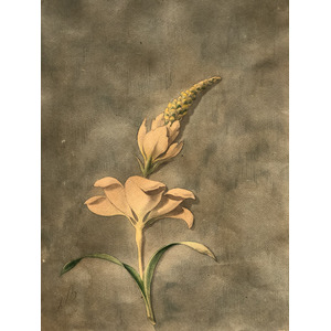 Photo Italie Sicile Palermo Palais des Normands 2020-02 100