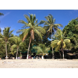 Photo Costa Rica Montezuma 2015-03 49