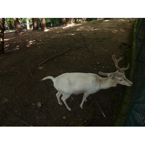 Photo Italie Villa Pallavicino 2009-06 55