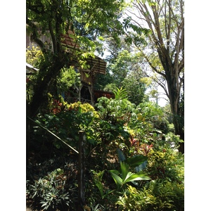 Photo Costa Rica Parc Manuel Antonio 2015-03 37
