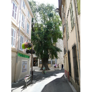 Photo France Vence Avenue H. Isnard 2007-07 39