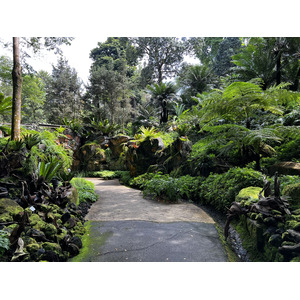 Photo Singapour Jardins botaniques de Singapore 2023-01 37
