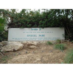 Photo Israel Tel Aviv Tel Aviv bord de mer 2006-12 261