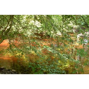 Photo Royaume-Uni Écosse Château de Doune 2011-07 32