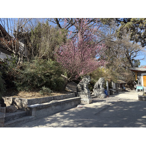 Photo Chine Lijiang 2026-01 124