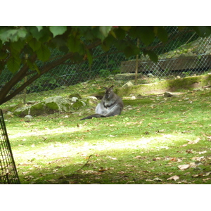 Photo Italie Villa Pallavicino 2009-06 111