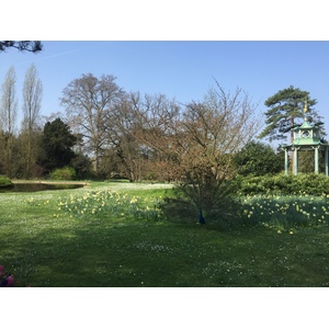 Photo France Paris Bagatelles 2017-03 8