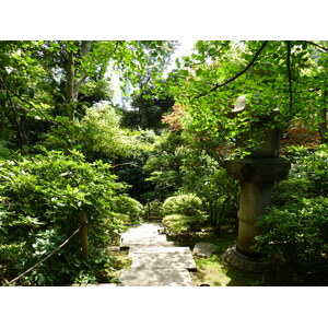 Photo Japon Tokyo Musée Nezu 2010-06 23
