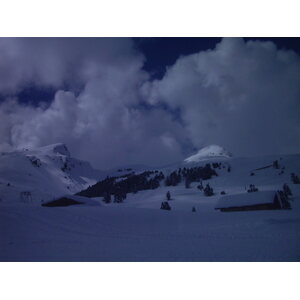 Photo Suisse Grindelwald 1999-04 1