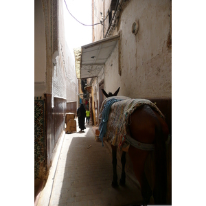 Photo Maroc Fez 2008-07 30