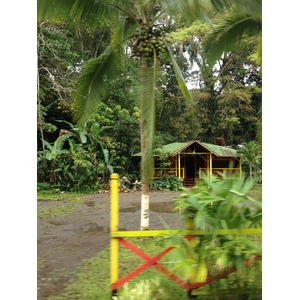 Photo Costa Rica Puerto Viejo de Talamanca 2015-03 61