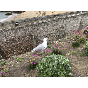 Photo France Saint Malo 2020-06 30