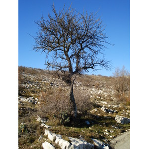 Photo France Côte d'Azur route du Col de Vence 2007-01 65