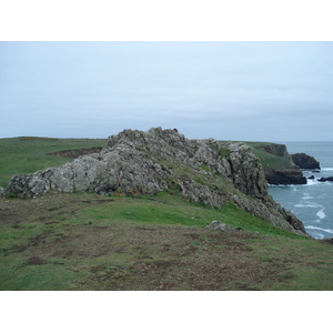 Photo Royaume-Uni Pembrokeshire Martins Havens 2006-05 19