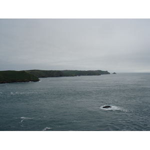 Photo Royaume-Uni Pembrokeshire Martins Havens 2006-05 23