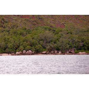 Photo Seychelles Curieuse 2011-10 50