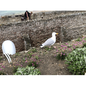 Photo France Saint Malo 2020-06 106