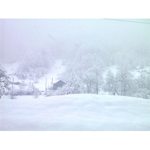 Photo Suisse Grindelwald 1999-04 6