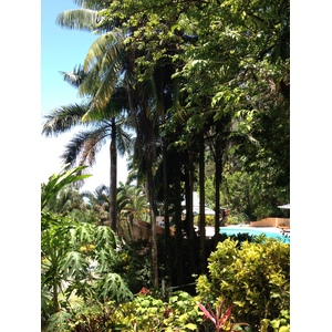 Photo Costa Rica Parc Manuel Antonio 2015-03 3