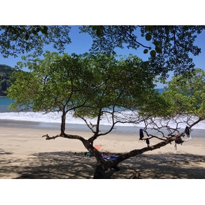 Photo Costa Rica Parc Manuel Antonio 2015-03 154
