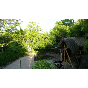 Photo France Disneyland Paris La Cabane des Robinson 2007-07 6