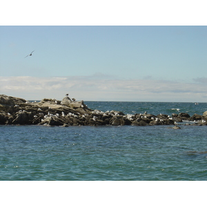 Photo France Le Croisic 2004-08 42