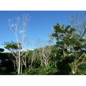 Photo Îles Fidji Nadi à Sigatoka 2010-05 6