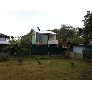 Photo Costa Rica Puerto Viejo de Talamanca 2015-03 38