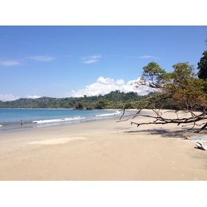 Photo Costa Rica Parc Manuel Antonio 2015-03 280