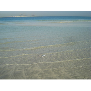 Photo Émirats arabes unis Dubai Plage de Jumeira 2007-03 2
