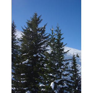 Photo Autriche Kitzbuhel Ski 2005-03 59