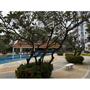 Photo Thaïlande Pattaya 2023-01 33