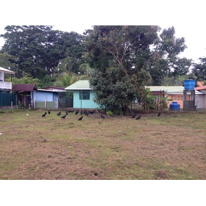 Photo Costa Rica Puerto Viejo de Talamanca 2015-03 111