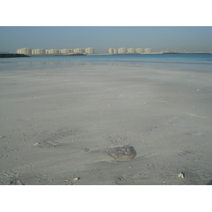 Photo Émirats arabes unis Dubai Plage de Jumeira 2007-03 16