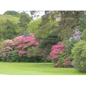 Photo Irlande Kerry Parc National de Killarney Muckross House 2004-05 16
