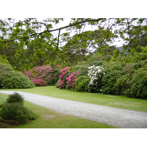 Photo Irlande Kerry Parc National de Killarney Muckross House 2004-05 17