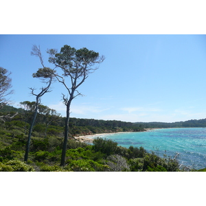 Photo France Ile de Porquerolles Pointe du Lequin 2008-05 15