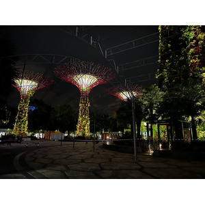 Photo Singapour Garden by the bay 2023-01 7