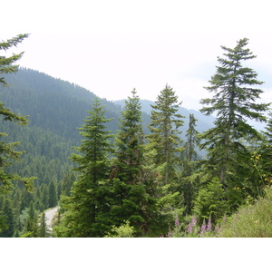 Photo France Mercantour 2003-07 77