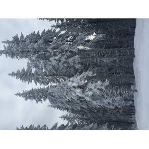 Photo France Megève 2016-02 96