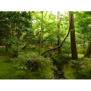 Photo Japon 2010-06 82