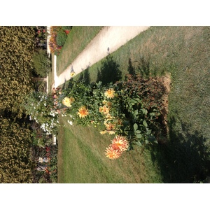 Photo France Paris Jardin des Plantes 2014-09 25